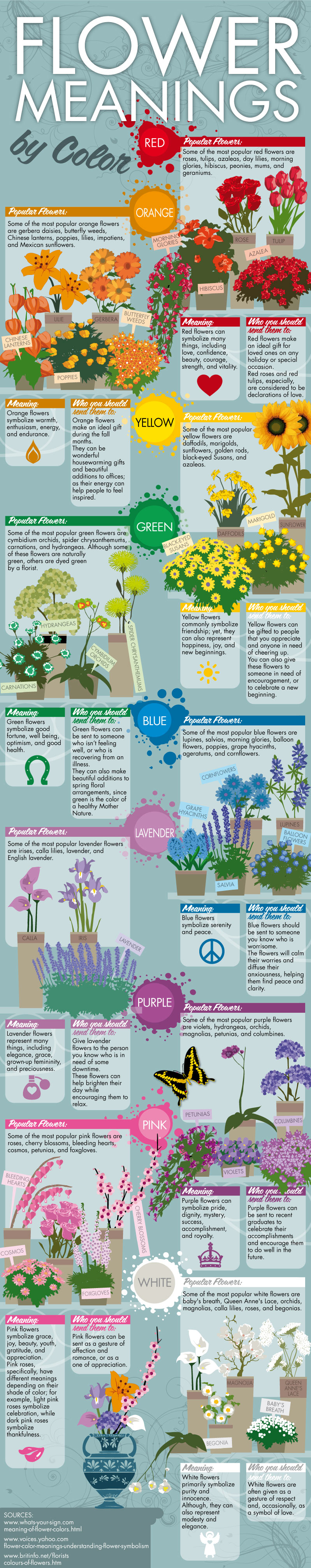 Infographic - Flower Meanings By Color